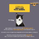 우다다 이미지