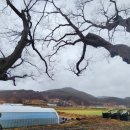 임정식 정려 네이버블로그