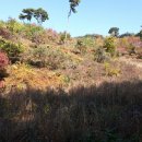 경기목장 이미지