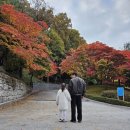 오르다어린이집 | [청주]국립청주박물관/청주어린이박물관/가을단풍/기획전시 후지산에 오르다,야마나시