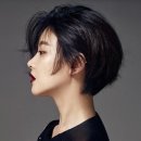 머시헤어 이미지