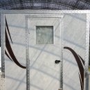 낼 입양갑니다! 이미지