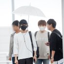 진영 이미지