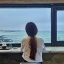 제제그리너 이미지
