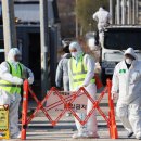 주일농장 이미지