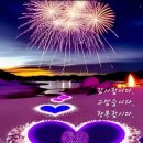 정 담