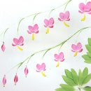 야생화그리기 이미지