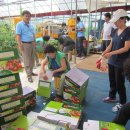 서면농장 이미지