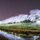 탄동천1 이미지