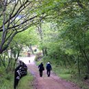 운곡생태습지길 4코스 이미지