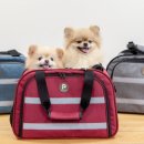 푸른종합동물병원 이미지