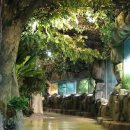 양서·파충류생태공원 아나콘다관 이미지