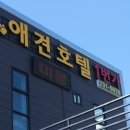 럭셔리애견사랑 이미지