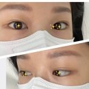 공주시 속눈썹펌/연장 시라브로우 후기 SIRABROW