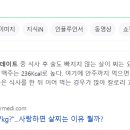 셀포랩리즈핏