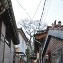 동지나