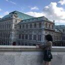 궁전아파트앞 | 비엔나 벨베데레 궁전 &amp; 카페 자허 알찼던 반나절 투어 후기 오스트리아 여행 코스 추천