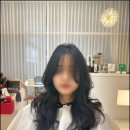 포유헤어 이미지