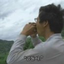 오케이뻥 이미지