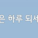 천연헤어염색전문점 이미지