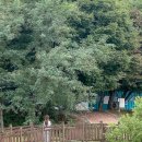 박서생 청년통신사공원 화장실 이미지