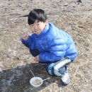 용인대제일태권도장 Daum카페