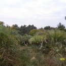 한림농장 이미지