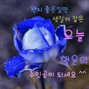 03월29일(금) 신문을 통해 알게된 이야기들 이미지