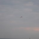 호수의오후 이미지