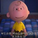 혈당관리 영양제 고르는 법 추천 애플사이다비니거 효능 효과 후기