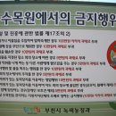 행정용 35번 이미지