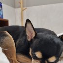 낄낄아놀자 이미지