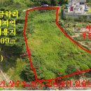 매물번호: 1000-169 팔봉면 금학리 전원주택용지,푸른숲아래 생산관리 면적1,307㎡(395평) 매매 3.3㎡당18만원 이미지