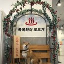 슈슈댕 이미지