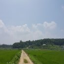 산덕리 이미지