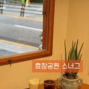스너그용산점 | 효창공원역카페 스너그용산점에서 핸드드립 커피와 밀크티를 마셔보아요