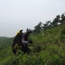 신안장수 이미지