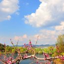 무릉도원 이미지