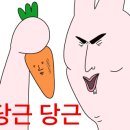 빛구움