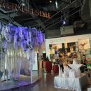 삼정투어 이미지