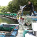 거일낚시터 이미지