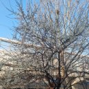 클릭비디오 | ASML 비디오 레코딩 전형 진행 방법과 후기, ASML 채용 공고, 영상 녹화 면접