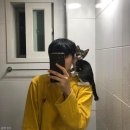 캣집사