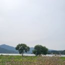(퇴촌)숲속에장어 매운탕에서 무한리필 ~강하예술공원 산책~ (이재효갤러리는 차주에~) 싱글3040 싱글4050 사사모 이미지