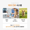 초록동물병원 네이버블로그