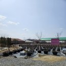 채니농장 이미지