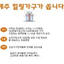 제주힐링가구