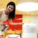 롤리폴리 이미지