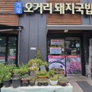 부산 기장 맛집 오거리돼지국밥 후기