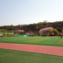 원적산공원매점